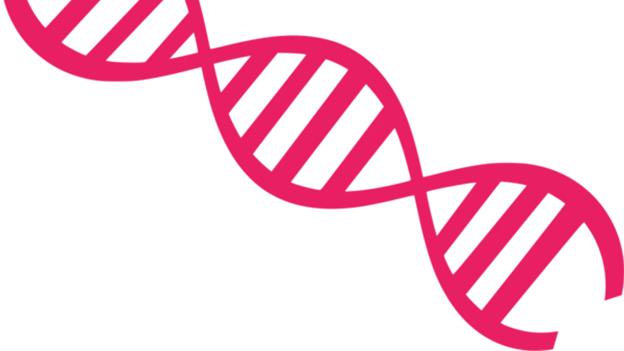 bio