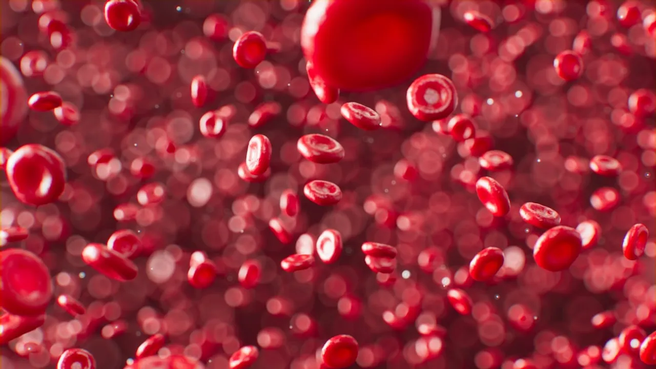 A dense cluster of red blood cells floating in a fluid medium